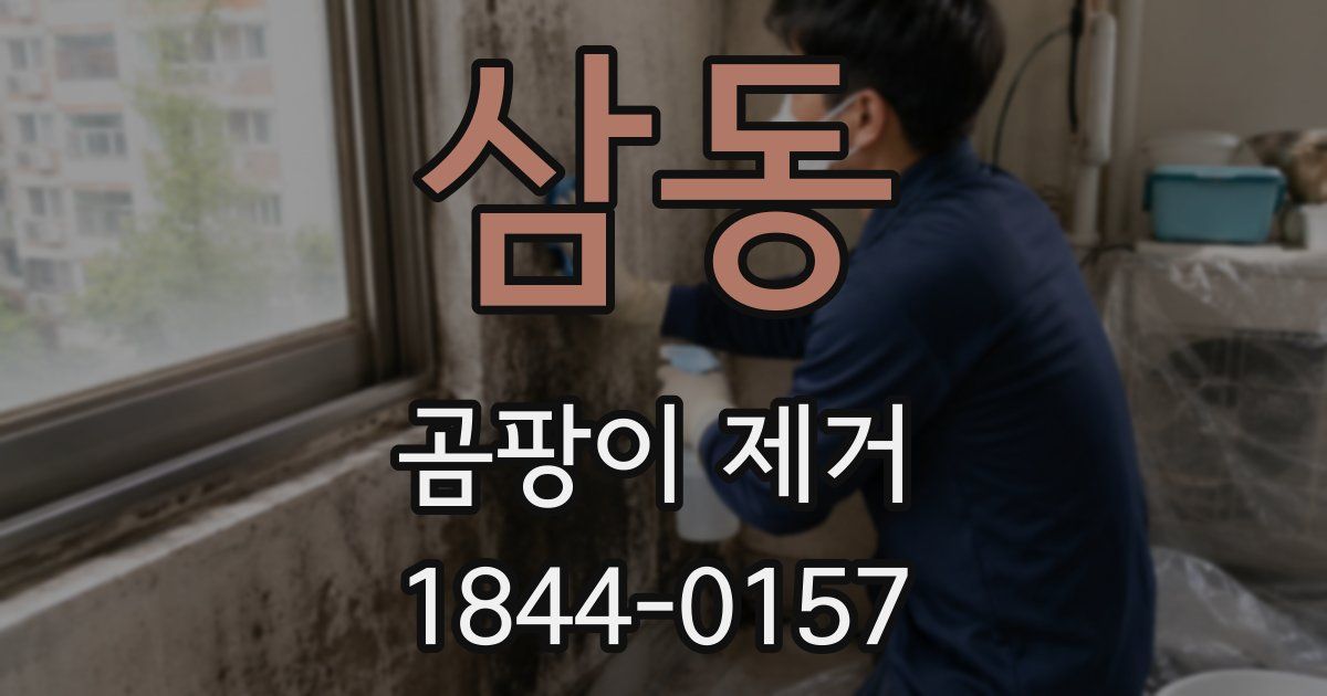 삼동 곰팡이 제거