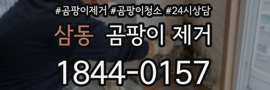 삼동 곰팡이 제거
