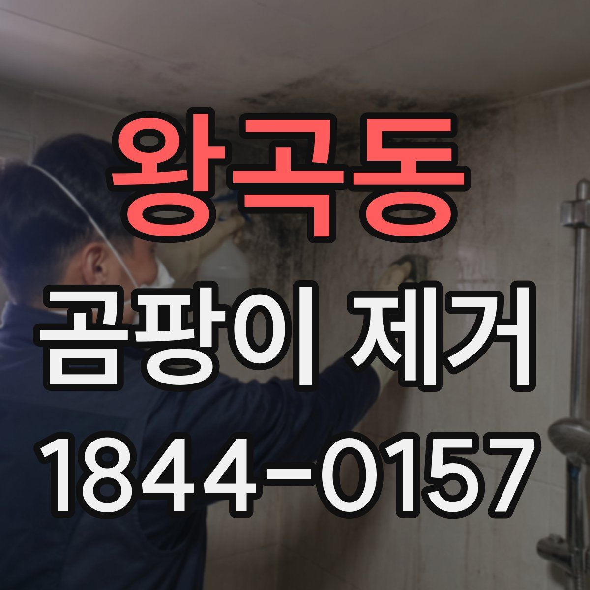 왕곡동 곰팡이 제거
