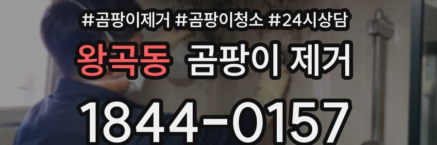 왕곡동 곰팡이 제거