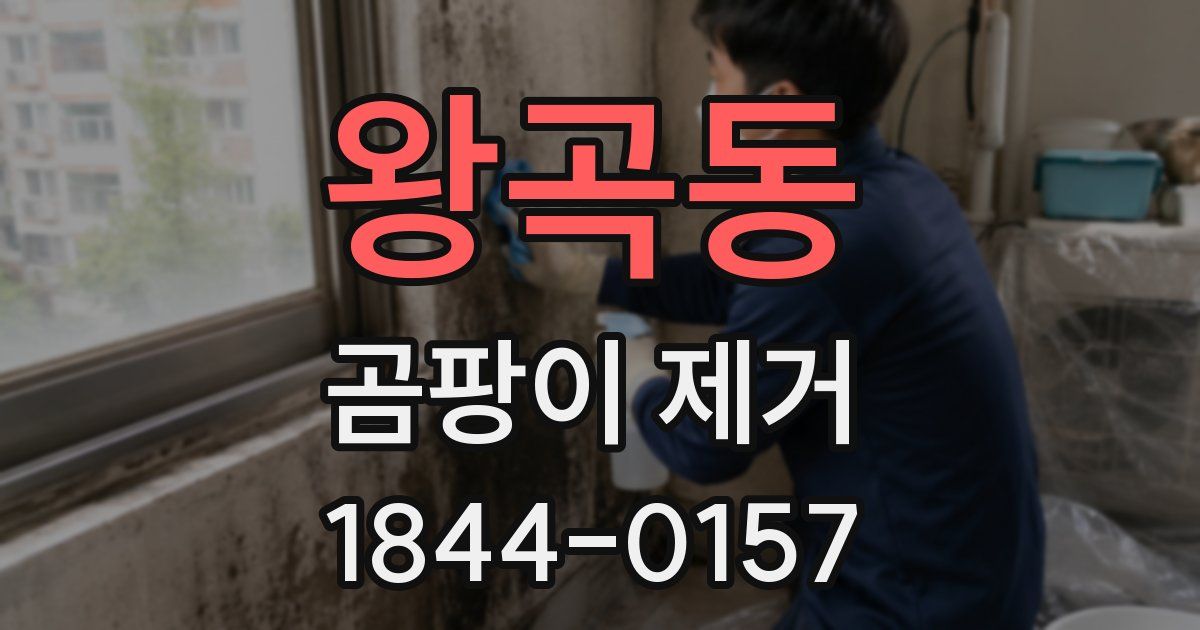 왕곡동 곰팡이 제거