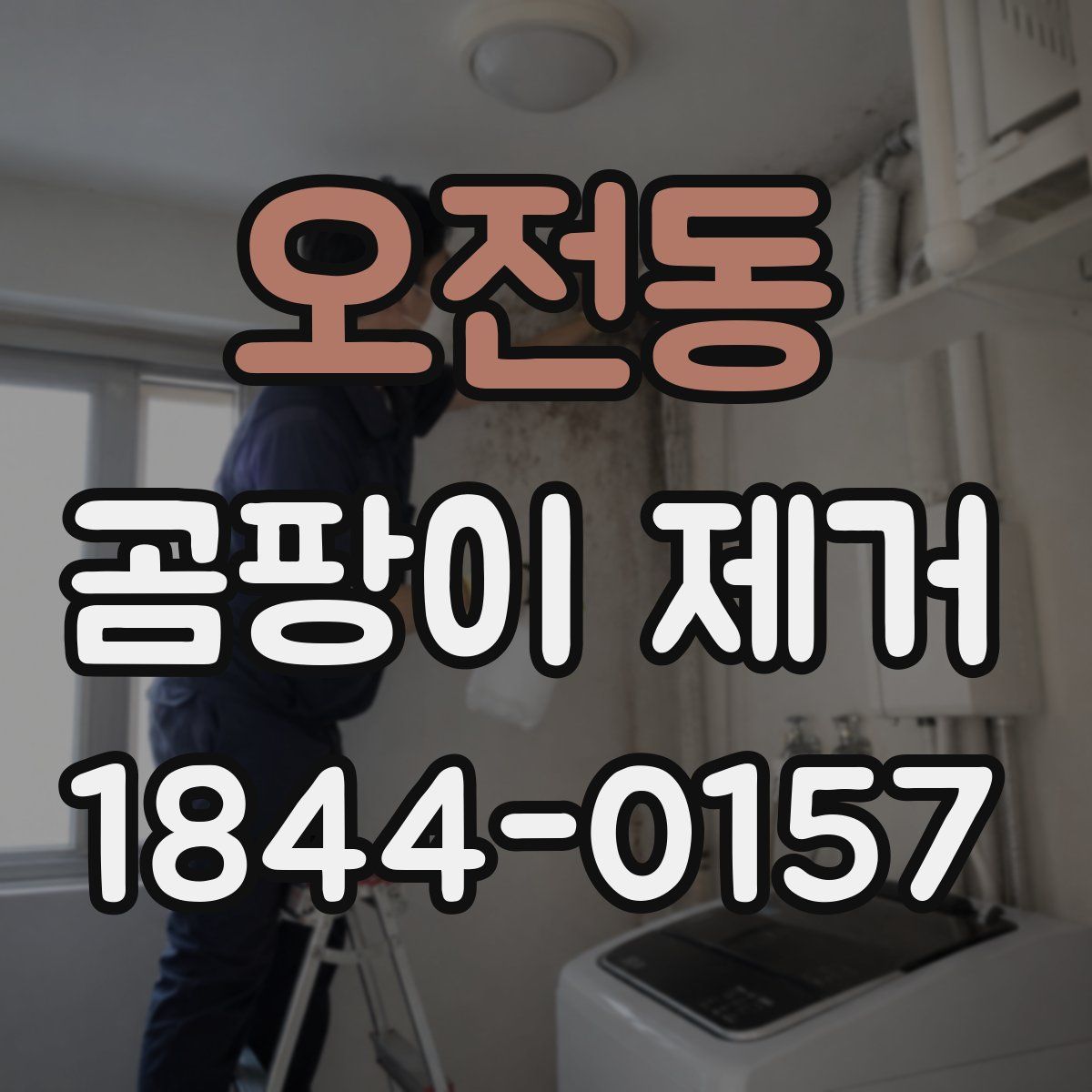 오전동 곰팡이 제거