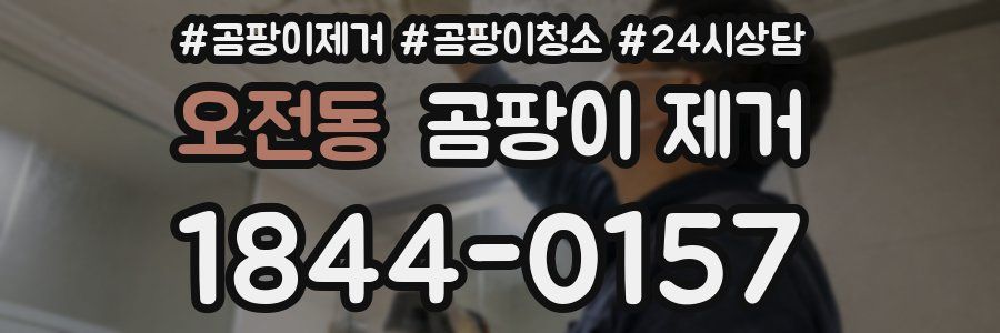 오전동 곰팡이 제거