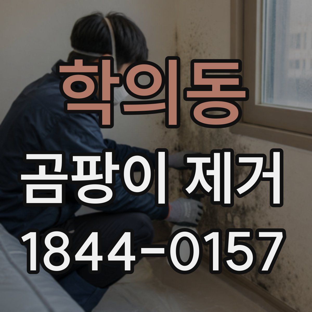 학의동 곰팡이 제거