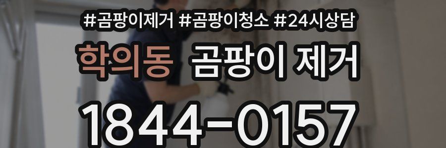학의동 곰팡이 제거