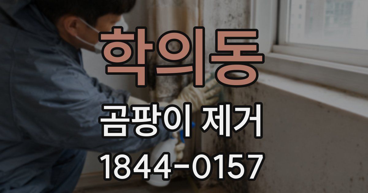 학의동 곰팡이 제거