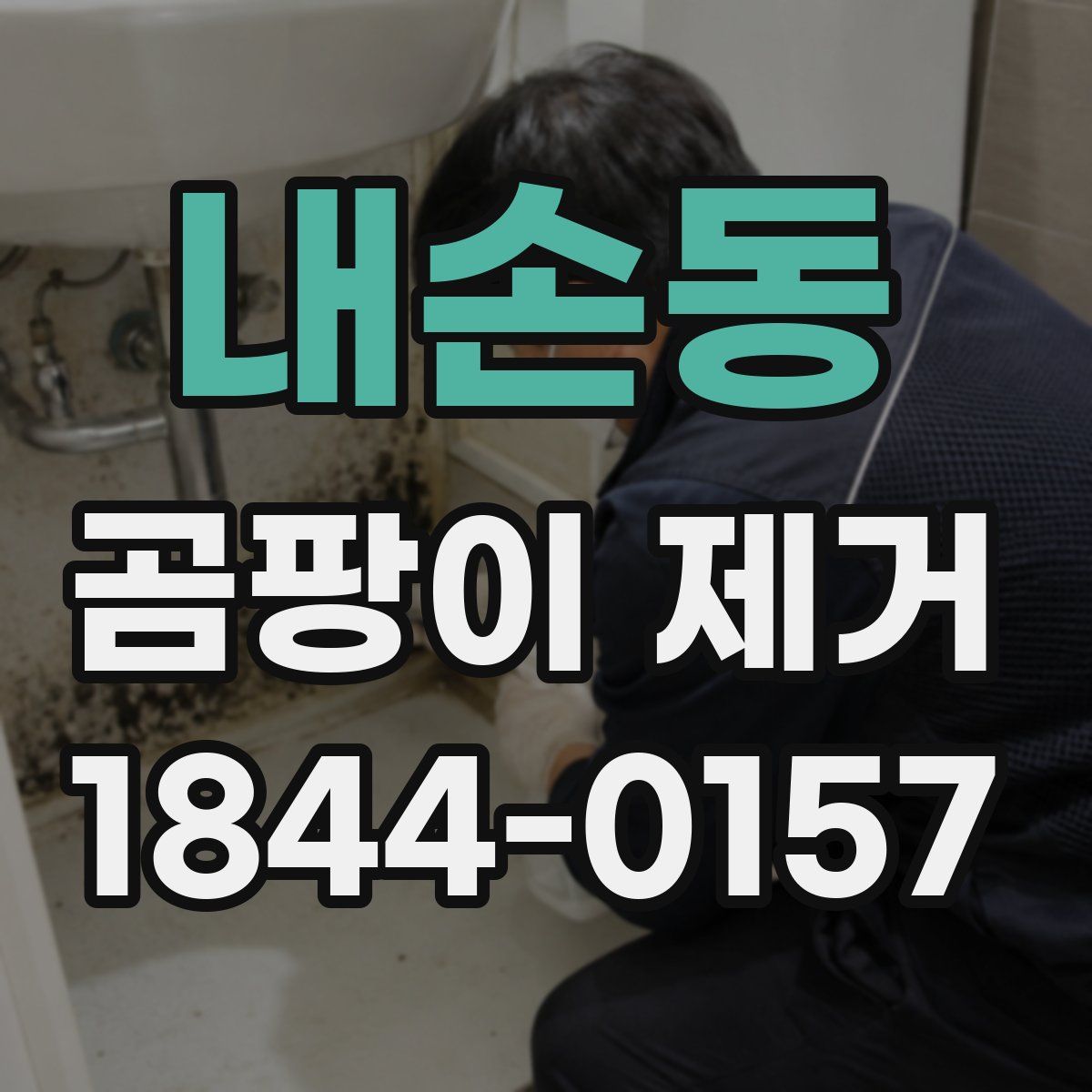 내손동 곰팡이 제거