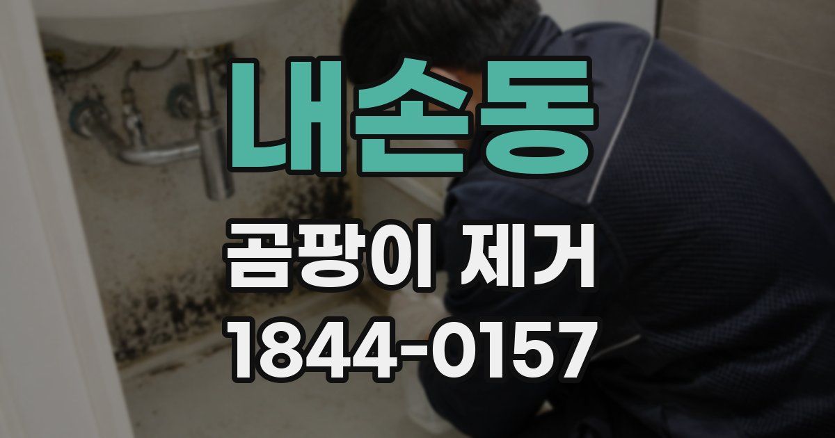 내손동 곰팡이 제거