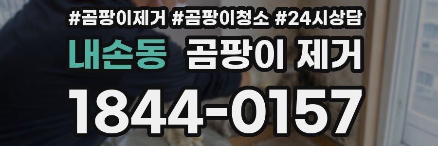 내손동 곰팡이 제거