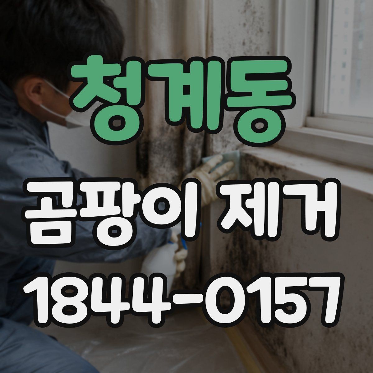 청계동 곰팡이 제거 냄새가 심해졌다면 확인할 위치들