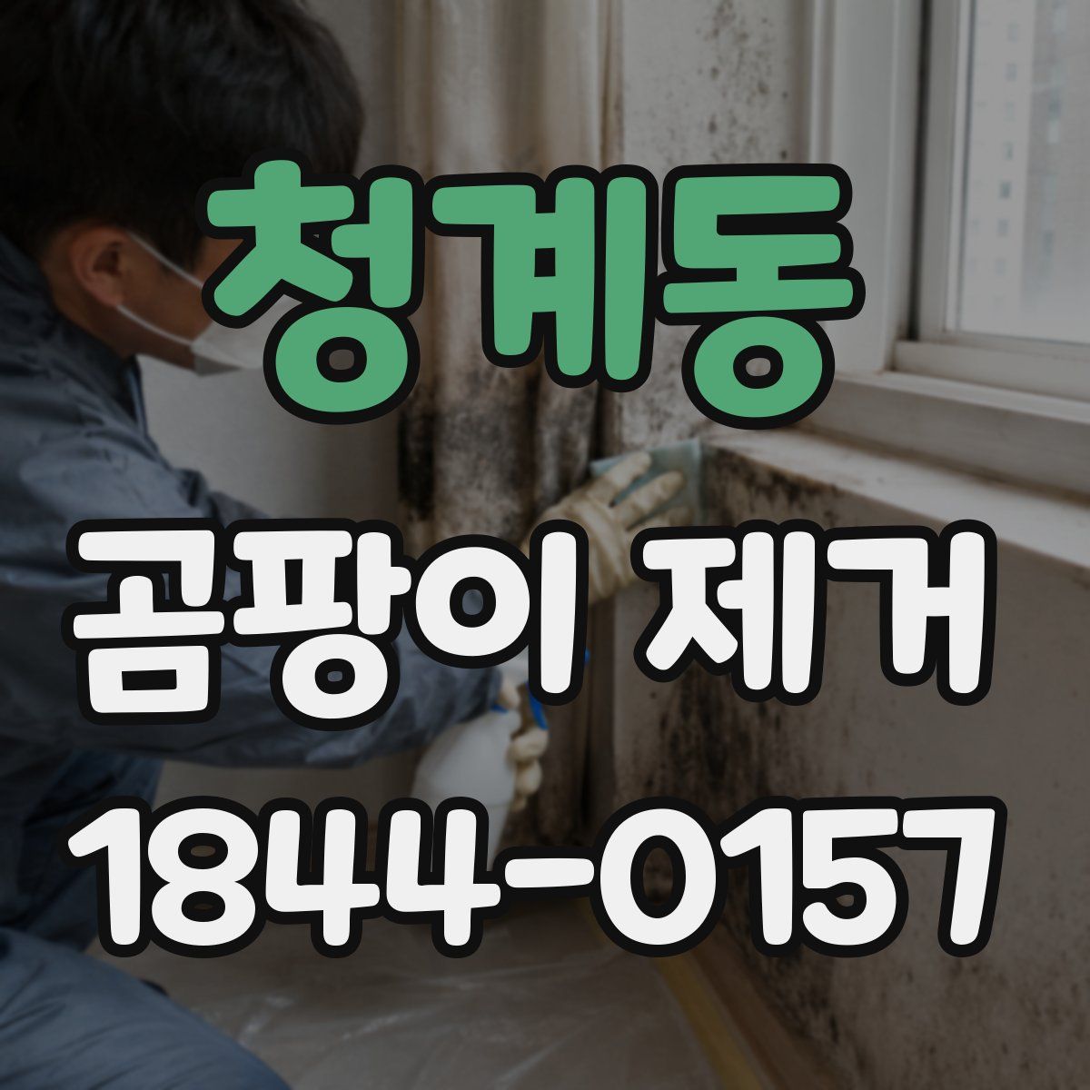 청계동 곰팡이 제거