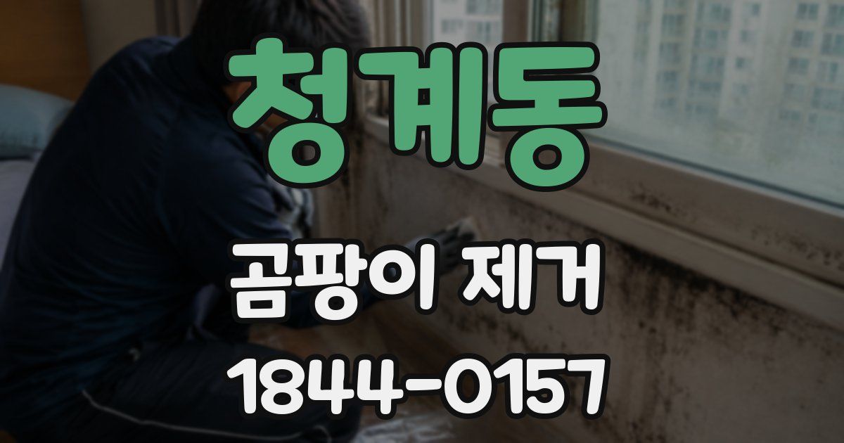 청계동 곰팡이 제거
