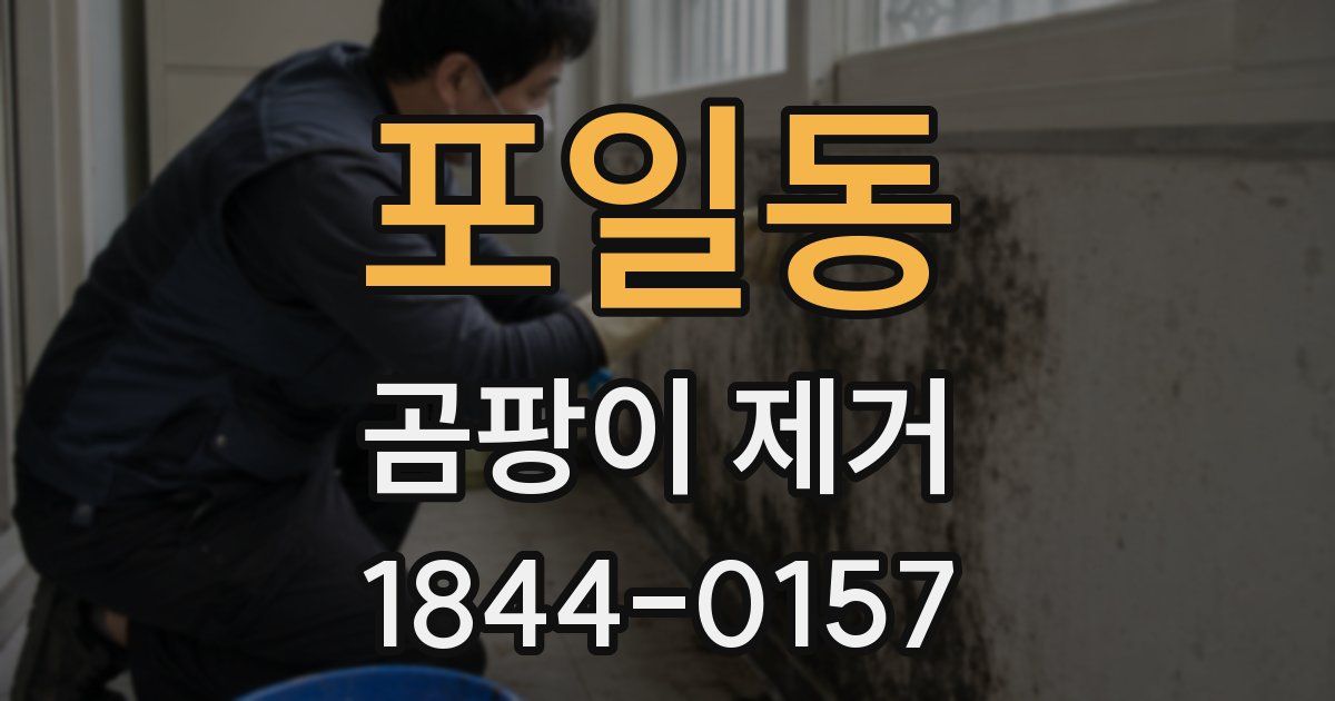 포일동 곰팡이 제거