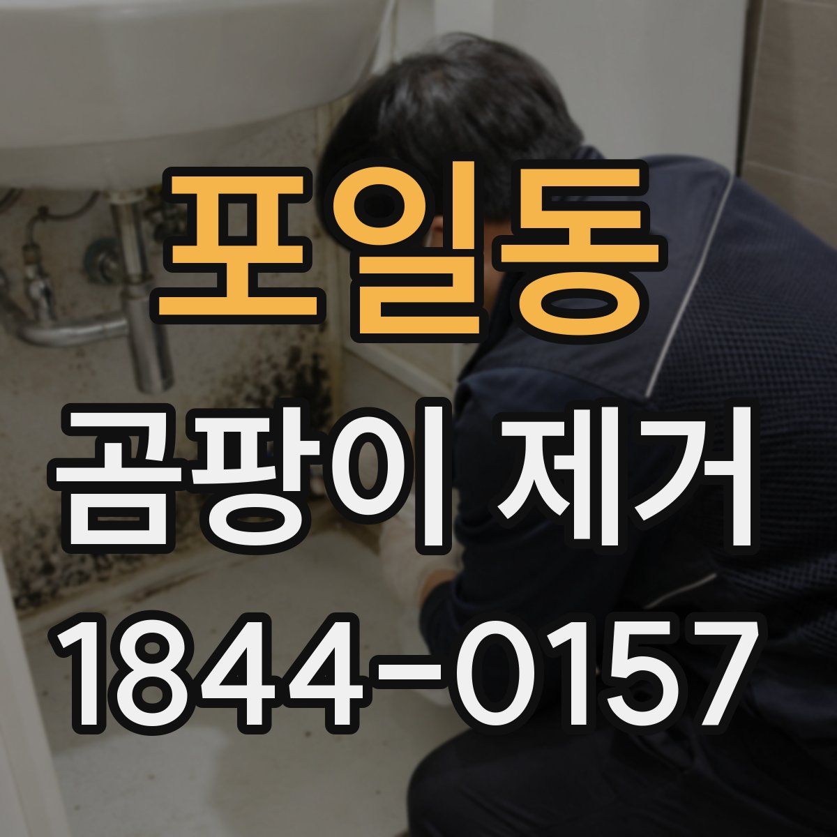 포일동 곰팡이 제거