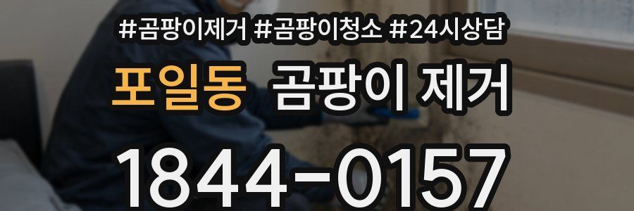 포일동 곰팡이 제거
