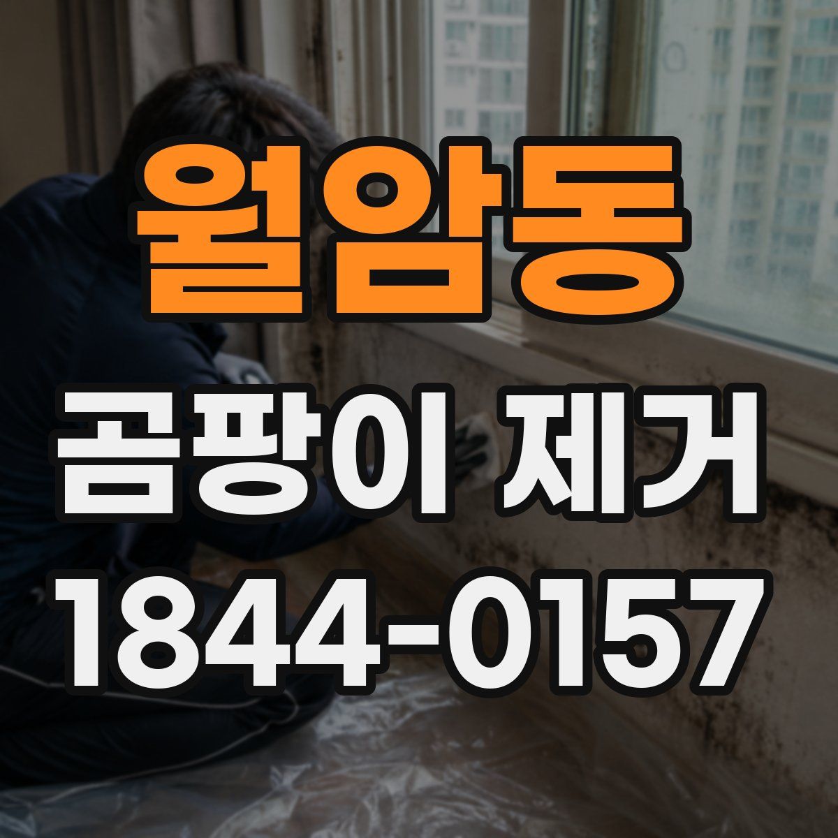 월암동 곰팡이 제거