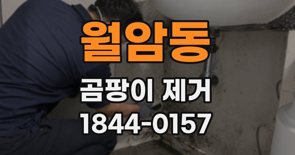 월암동 곰팡이 제거