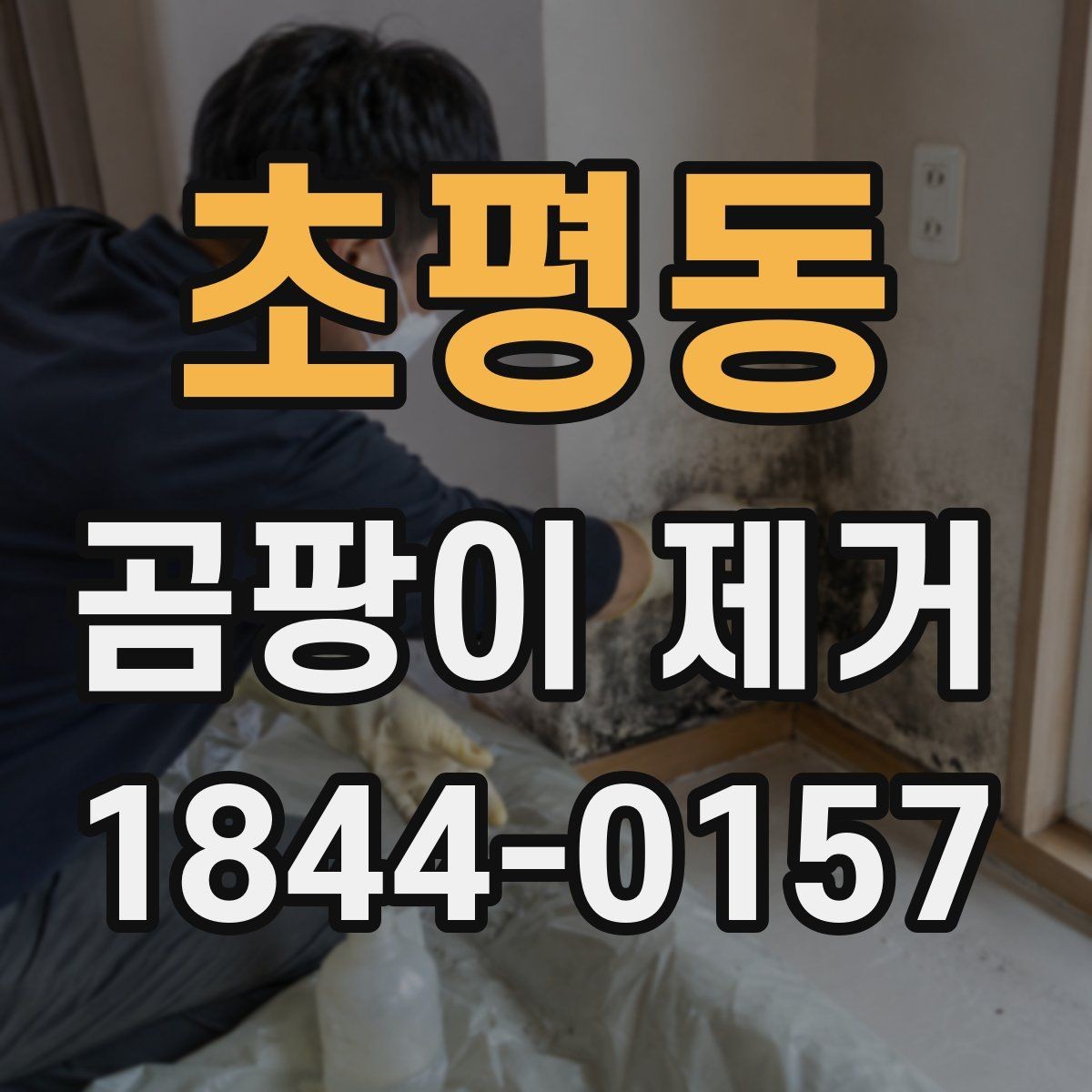 초평동 곰팡이 제거 장마철 대비 실내 점검 체크리스트