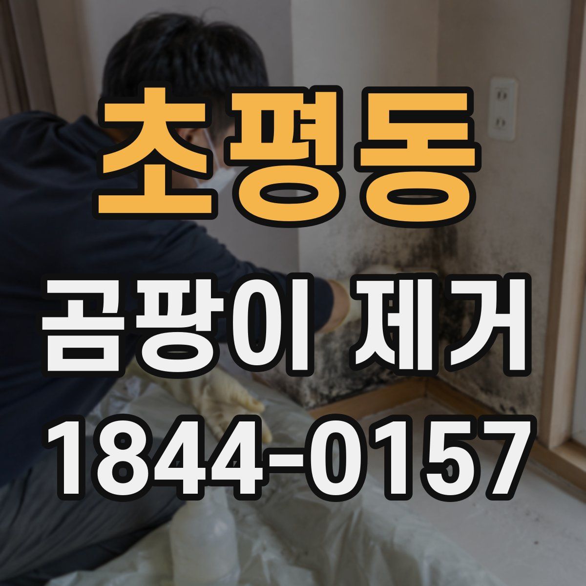 초평동 곰팡이 제거