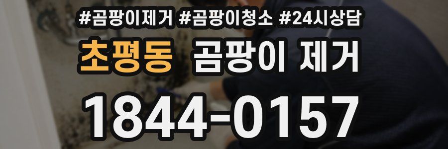 초평동 곰팡이 제거