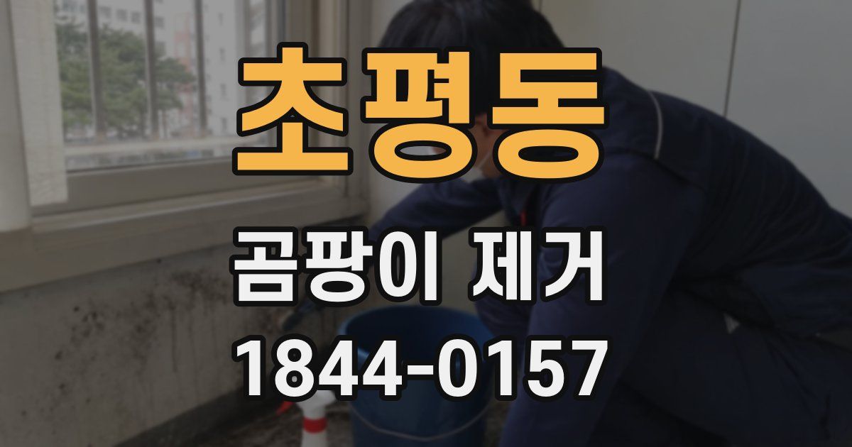 초평동 곰팡이 제거