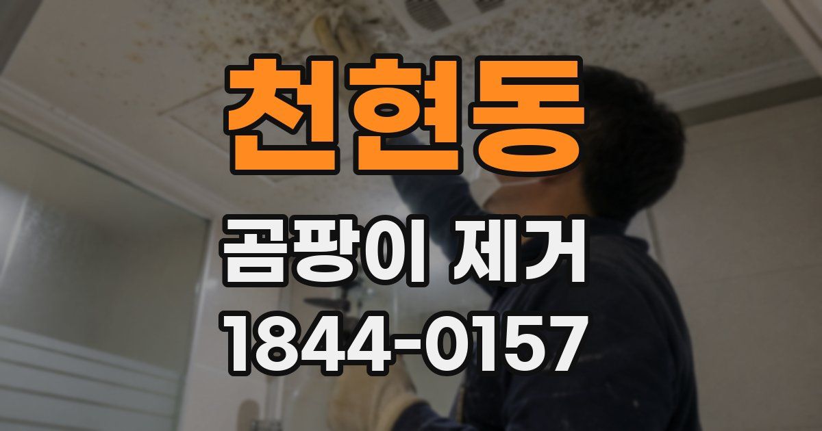 천현동 곰팡이 제거