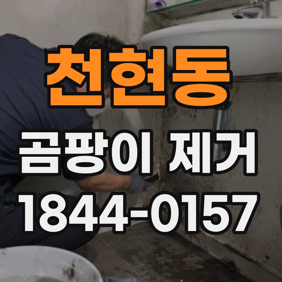 천현동 곰팡이 제거