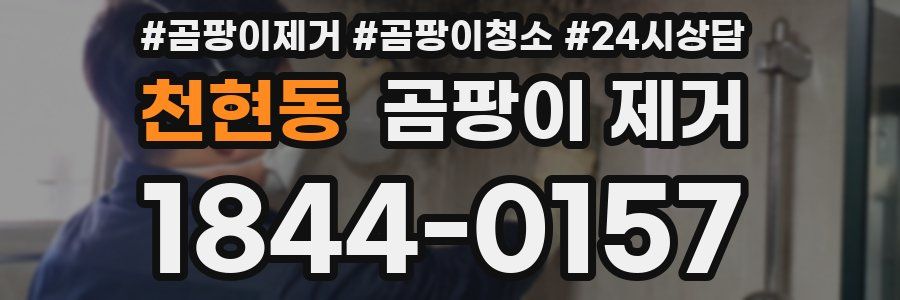 천현동 곰팡이 제거