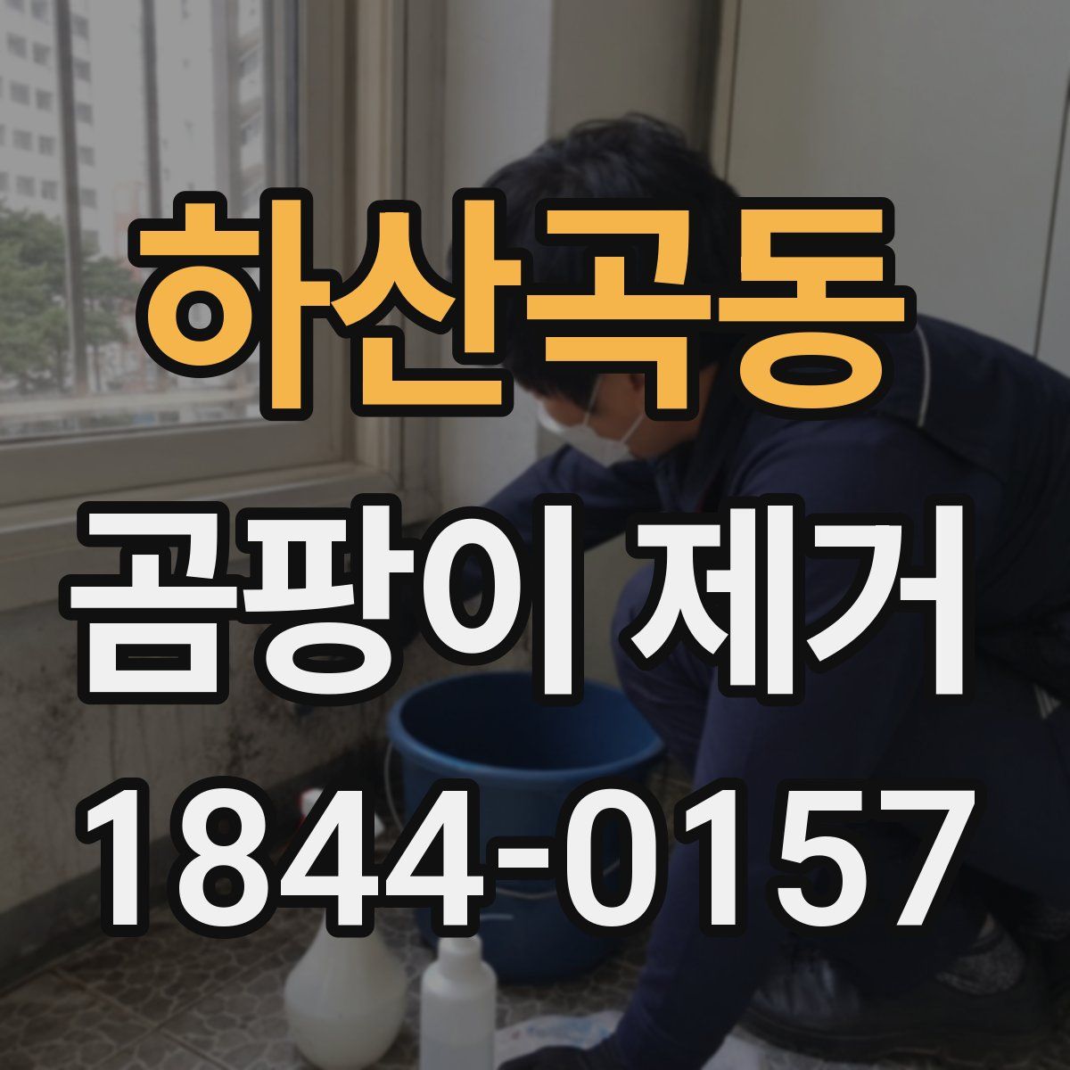 하산곡동 곰팡이 제거