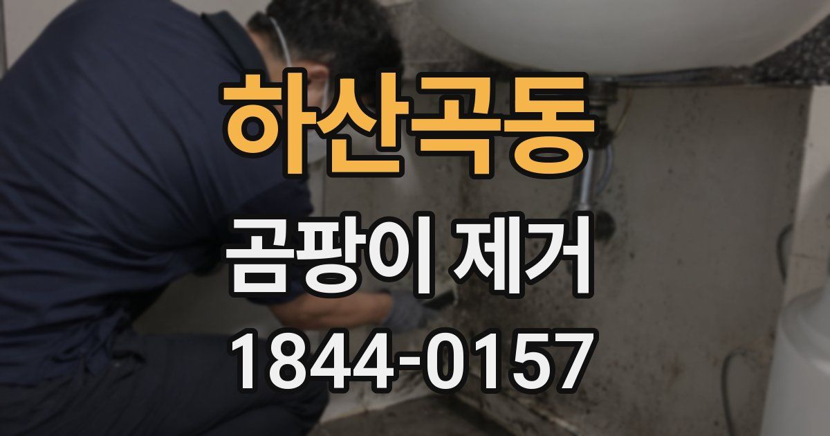 하산곡동 곰팡이 제거