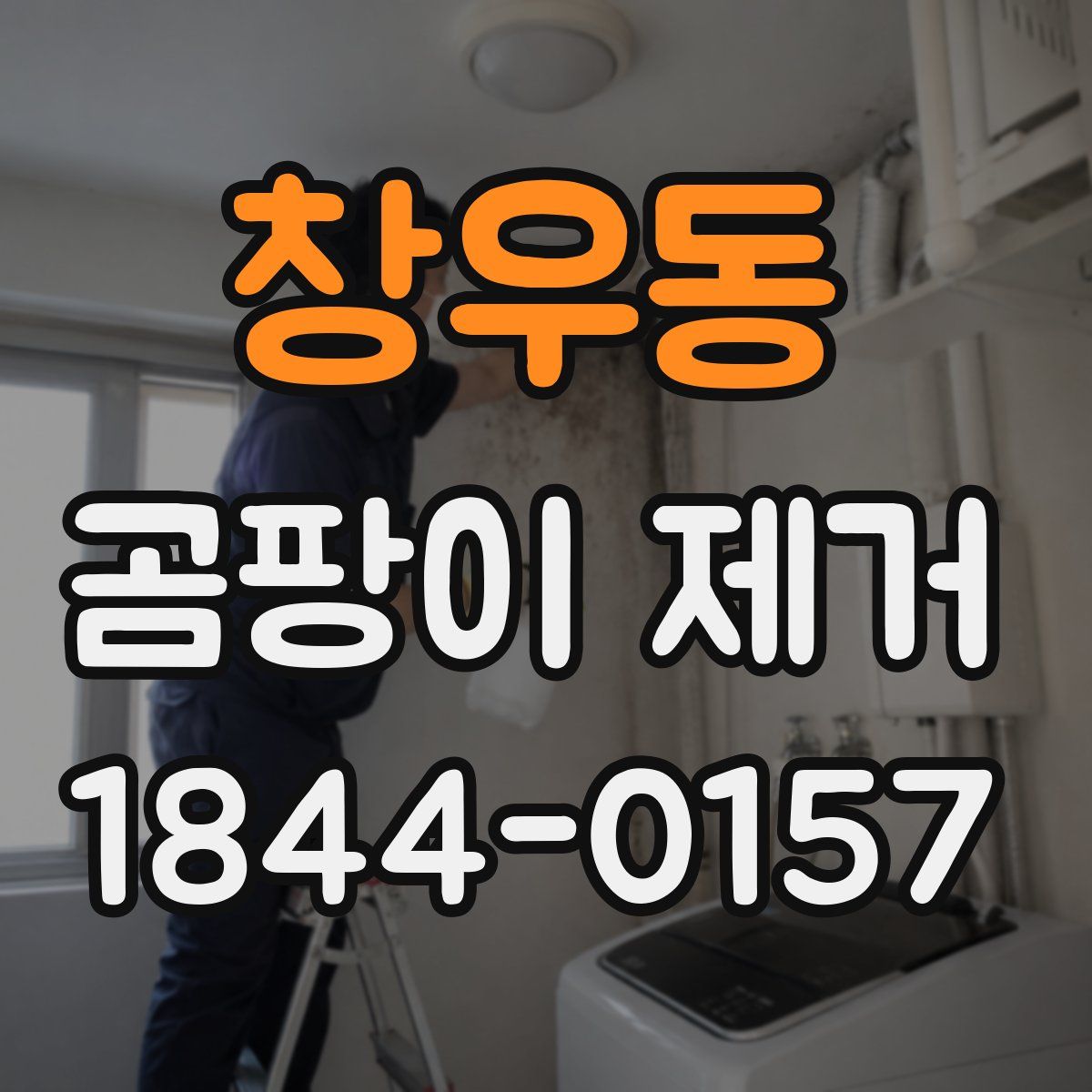 창우동 곰팡이 제거