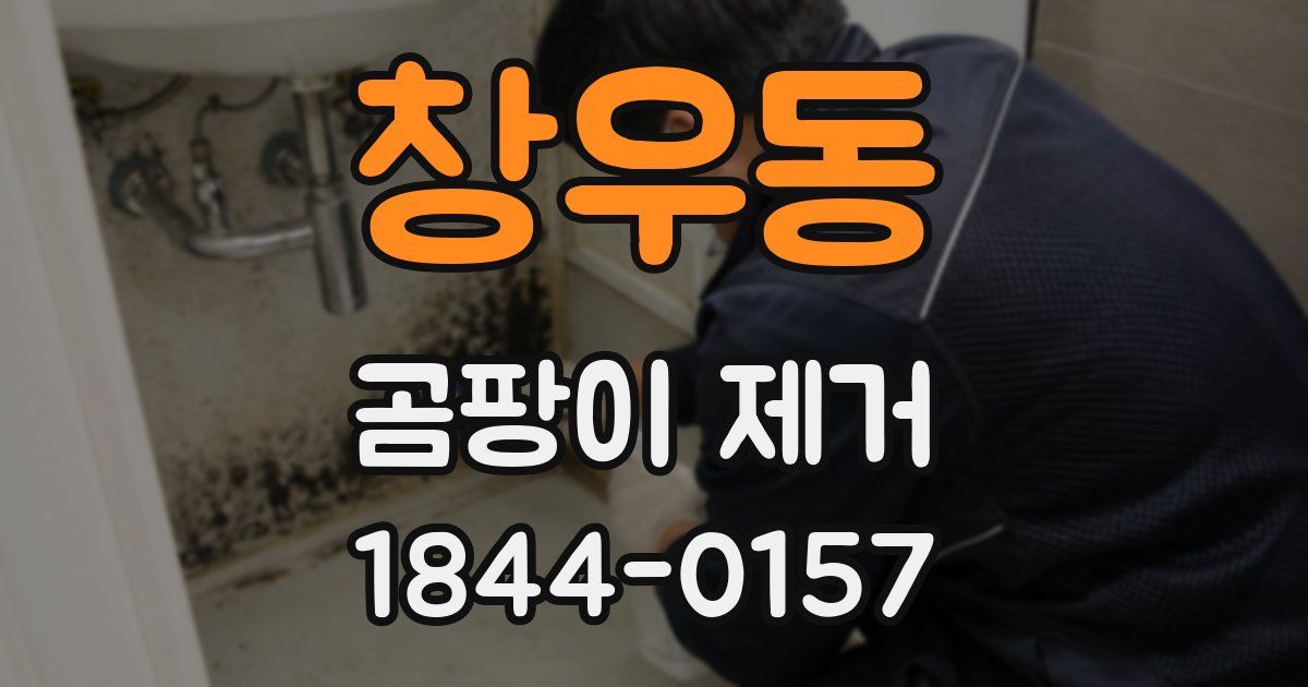 창우동 곰팡이 제거