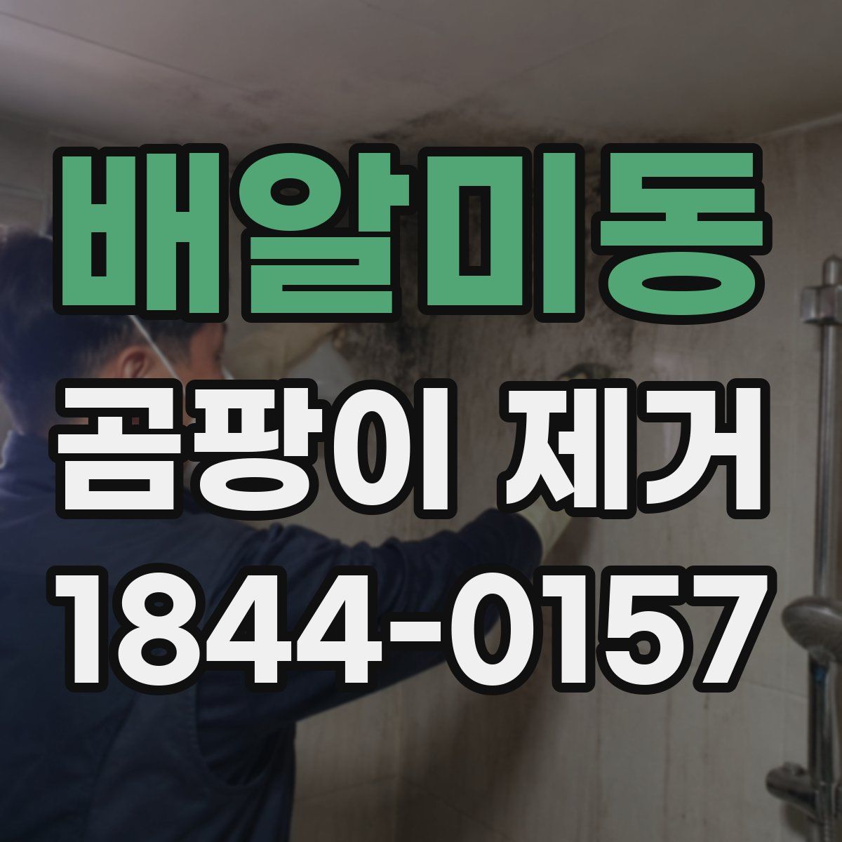 배알미동 곰팡이 제거