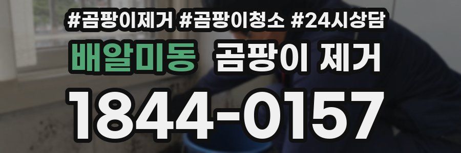 배알미동 곰팡이 제거