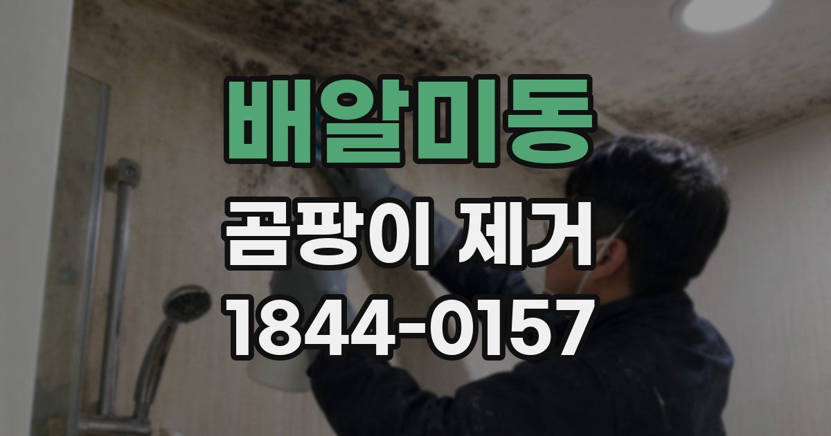 배알미동 곰팡이 제거