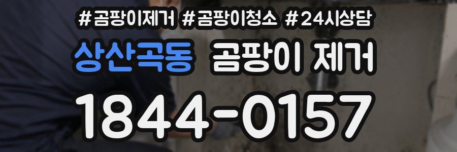 상산곡동 곰팡이 제거