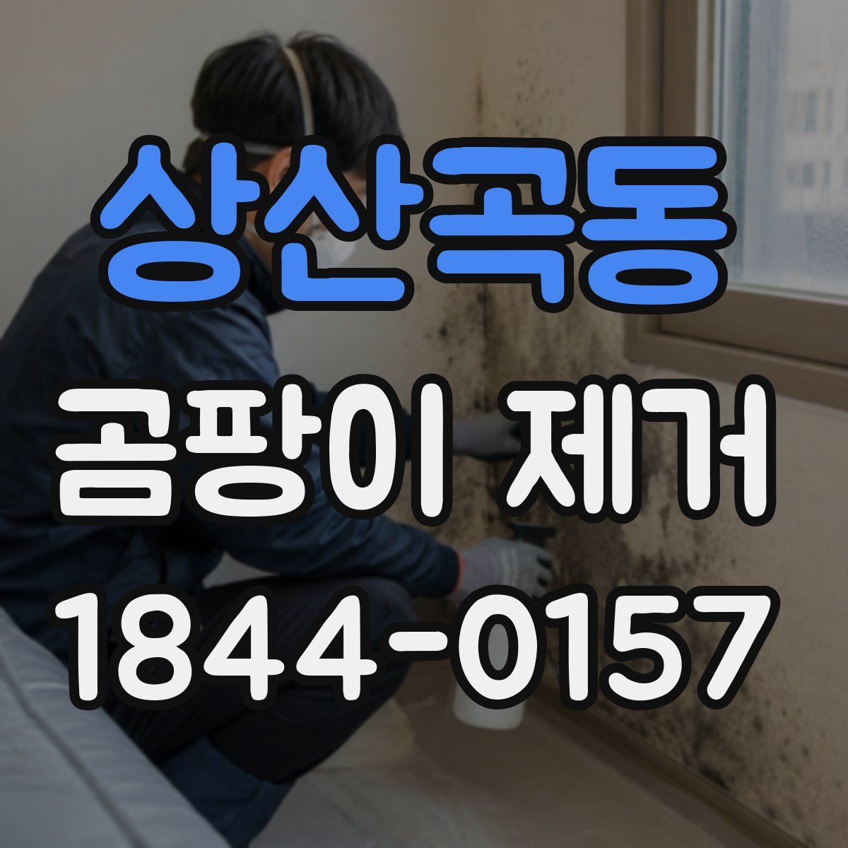 상산곡동 곰팡이 제거