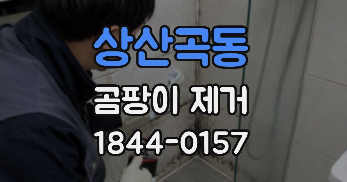 상산곡동 곰팡이 제거
