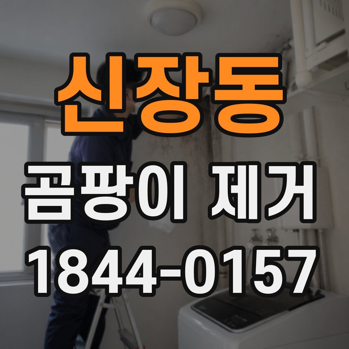 신장동 곰팡이 제거