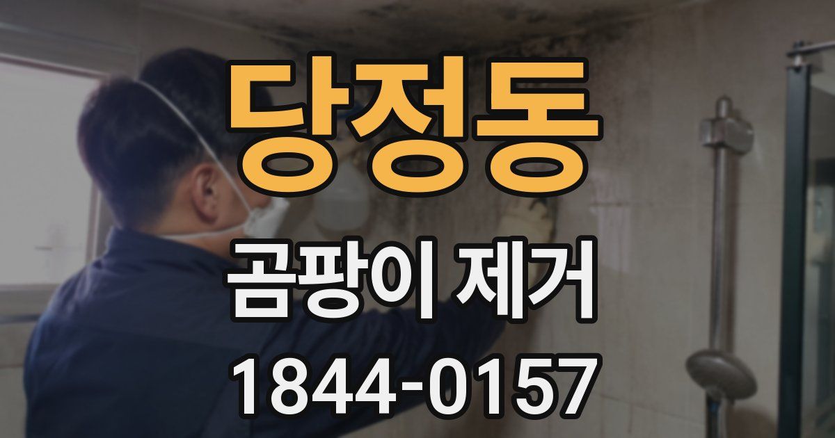 당정동 곰팡이 제거