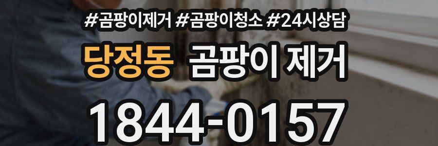 당정동 곰팡이 제거