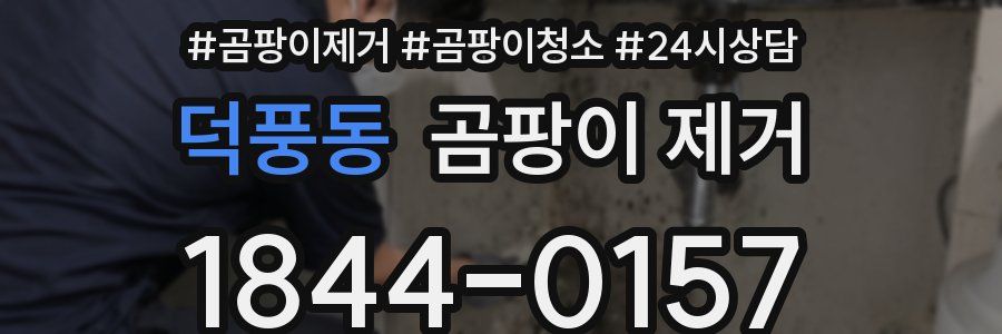 덕풍동 곰팡이 제거