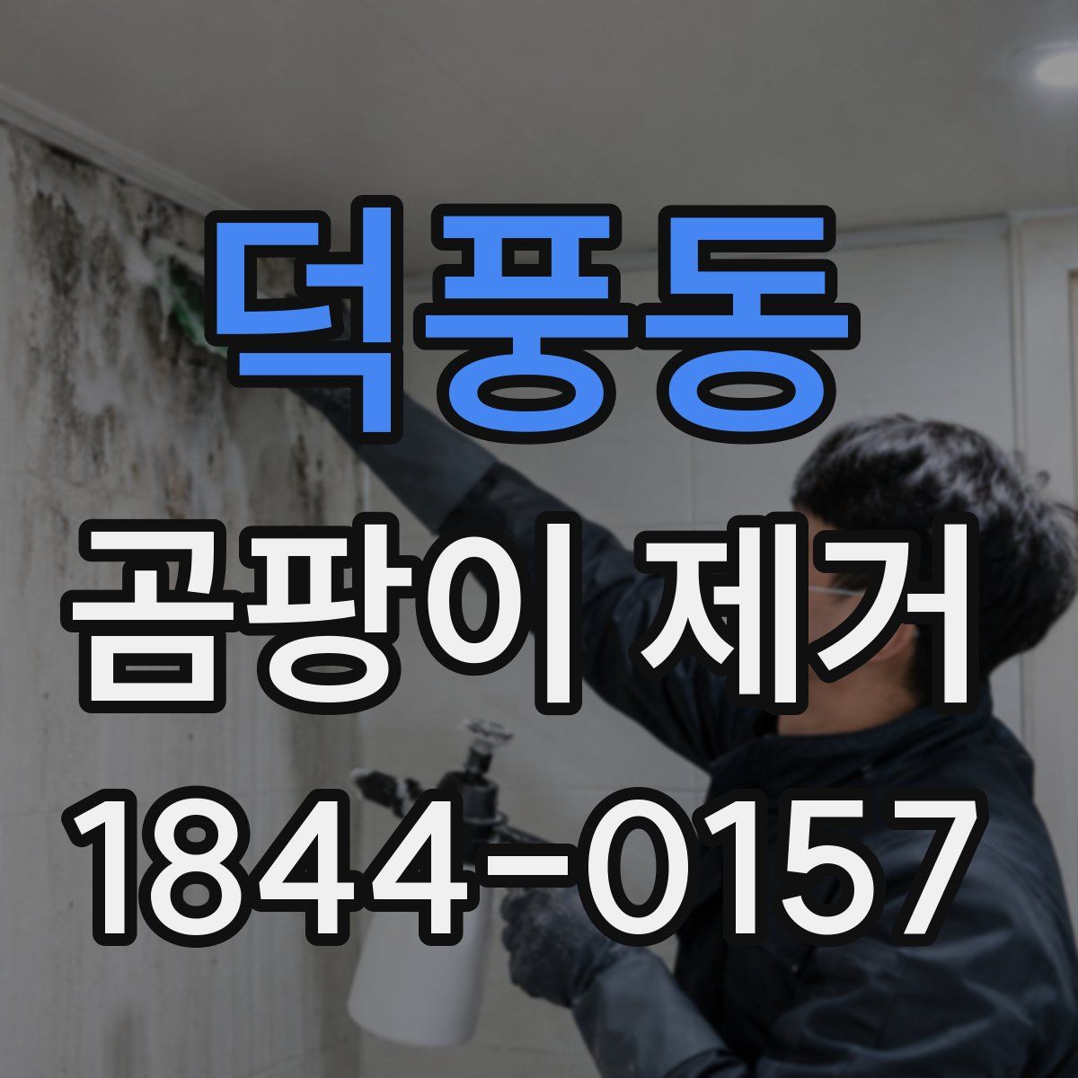 덕풍동 곰팡이 제거