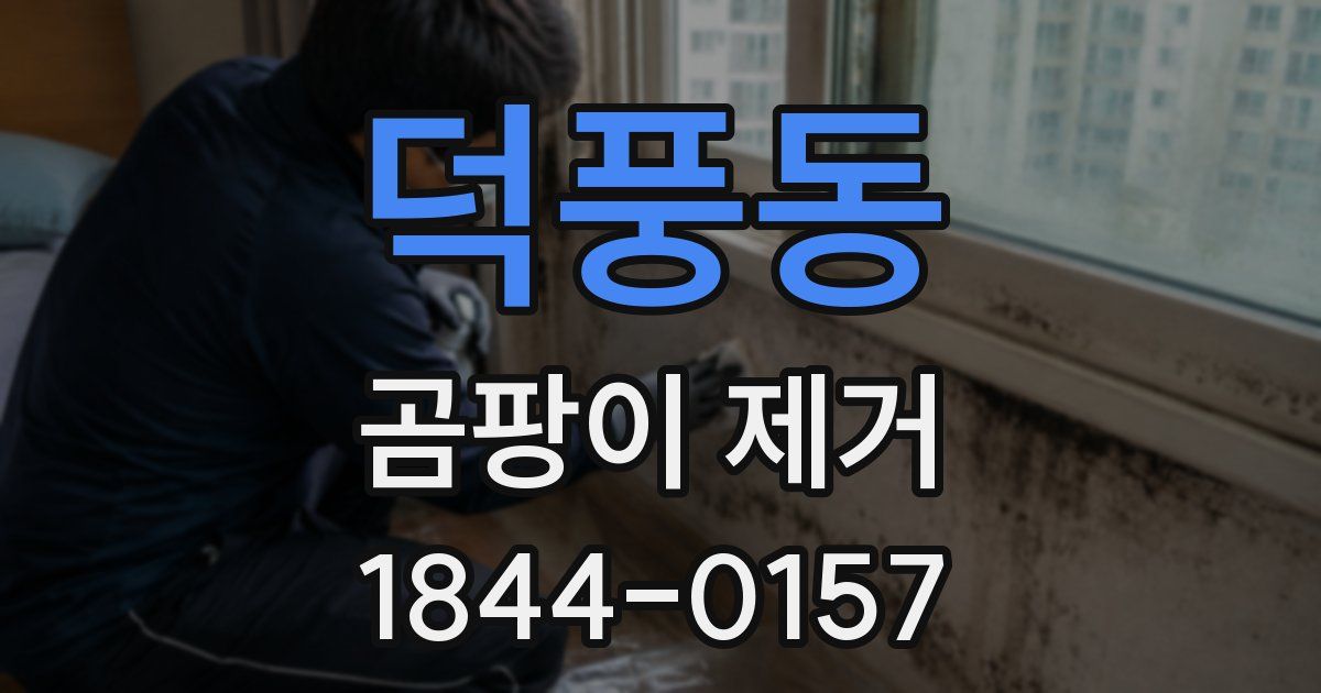 덕풍동 곰팡이 제거