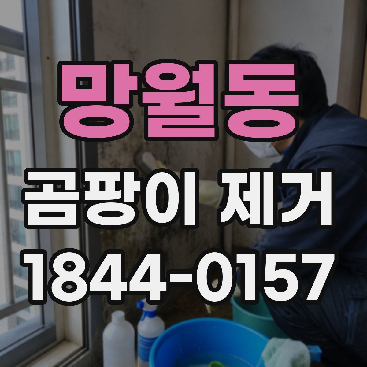 망월동 곰팡이 제거
