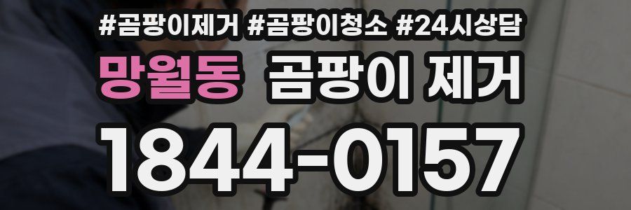 망월동 곰팡이 제거