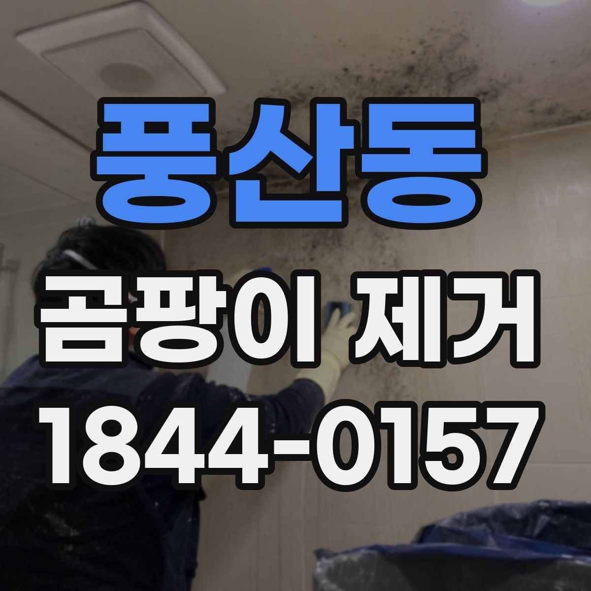 풍산동 곰팡이 제거 입주 전에 꼭 보는 누수 흔적 체크