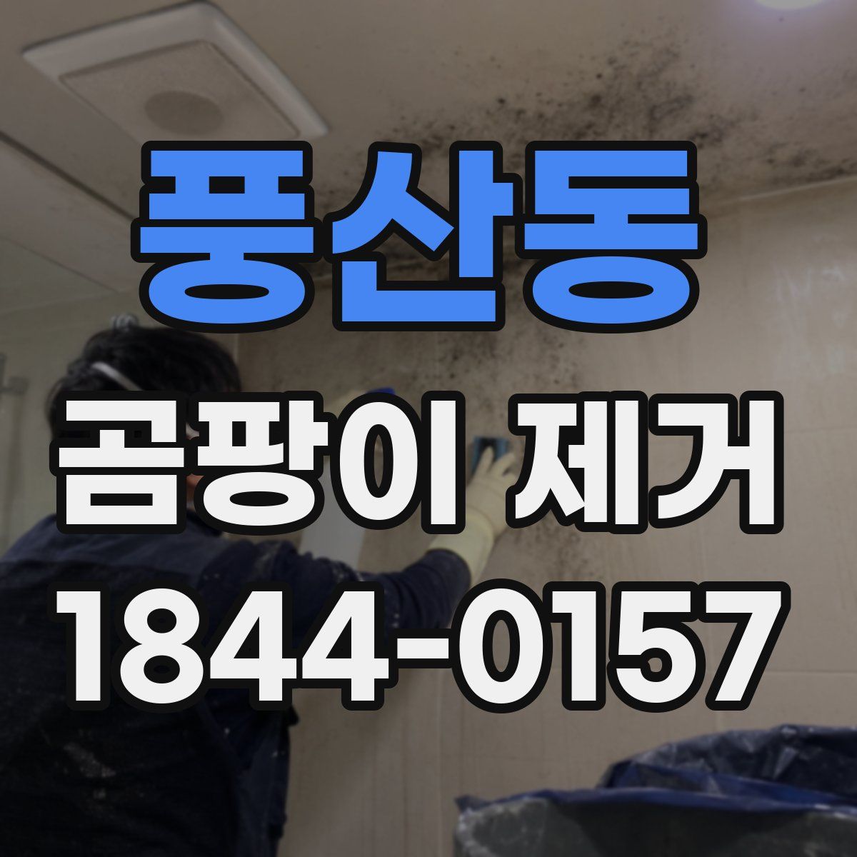 풍산동 곰팡이 제거