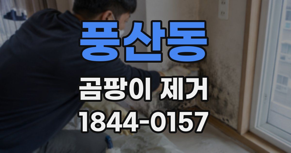 풍산동 곰팡이 제거
