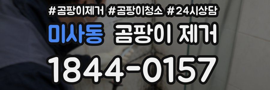 미사동 곰팡이 제거